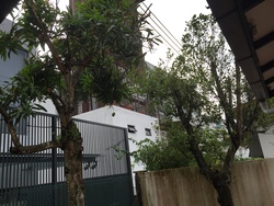 Woodlands Park (D25), Semi-Detached #200642322